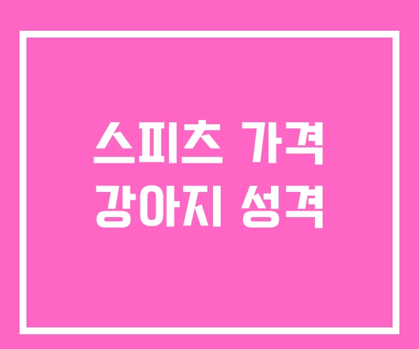 스피츠 가격 강아지 성격