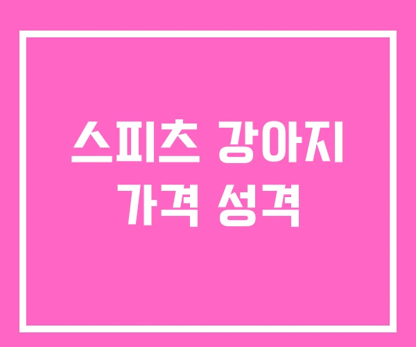 스피츠 강아지 가격 성격