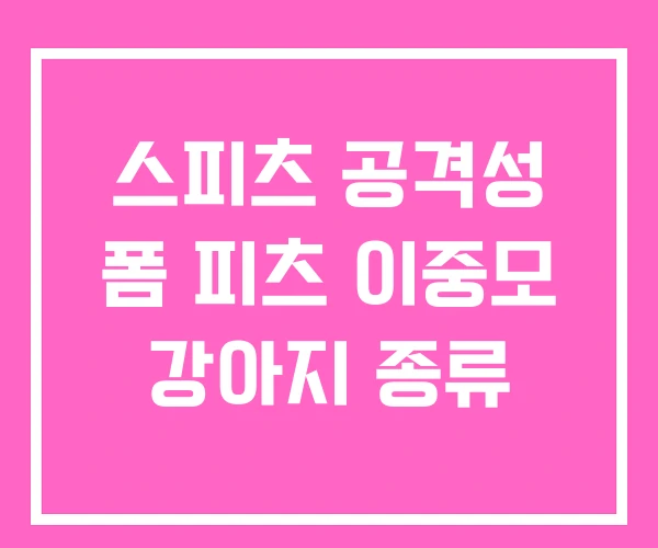 스피츠 공격성 폼 피츠 이중모 강아지 종류