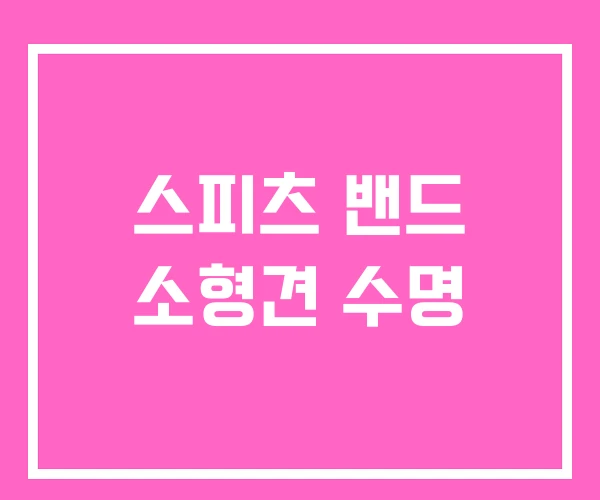스피츠 밴드 소형견 수명
