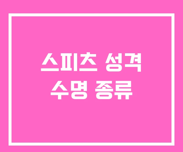 스피츠 성격 수명 종류