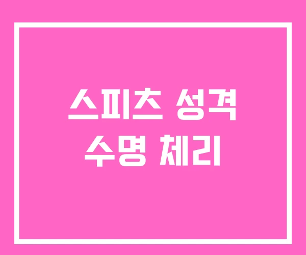 스피츠 성격 수명 체리