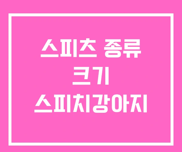 스피츠 종류 크기 스피치강아지