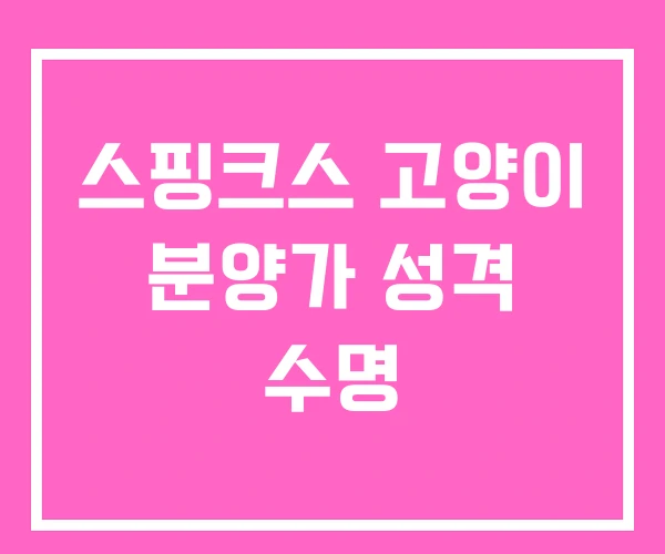 스핑크스 고양이 분양가 성격 수명 스핑크스 고양이 분양가 성격 수명