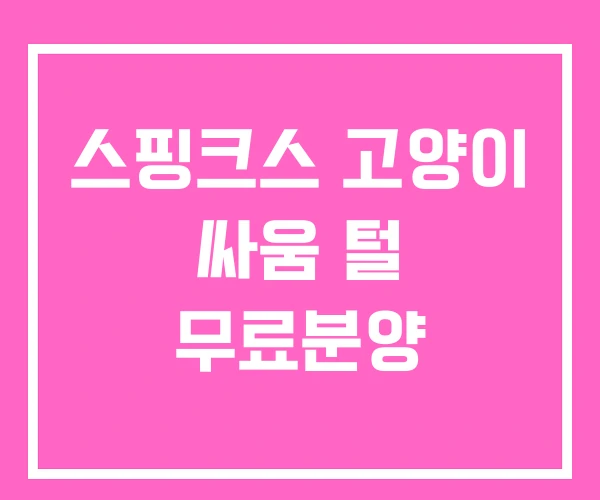 스핑크스 고양이 싸움 털 무료분양 스핑크스 고양이 싸움 털 무료분양