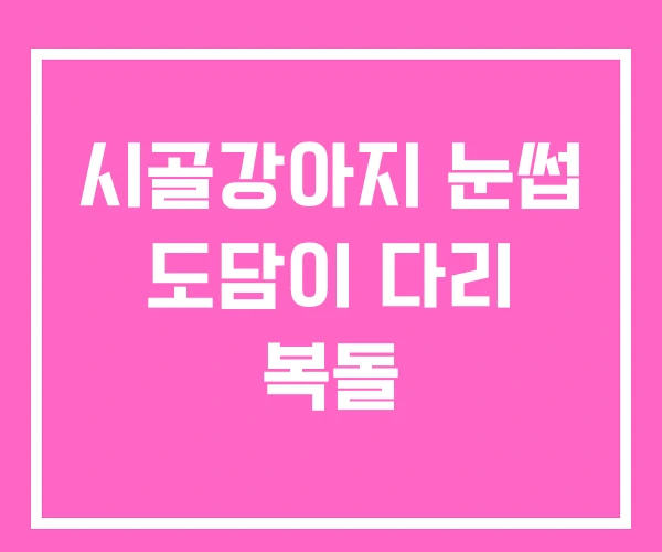 시골강아지 눈썹 도담이 다리 복돌