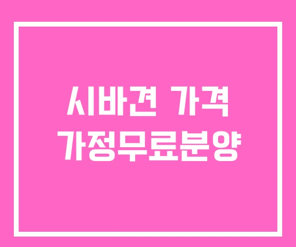 시바견 가격 가정무료분양 시바견 가격 가정무료분양