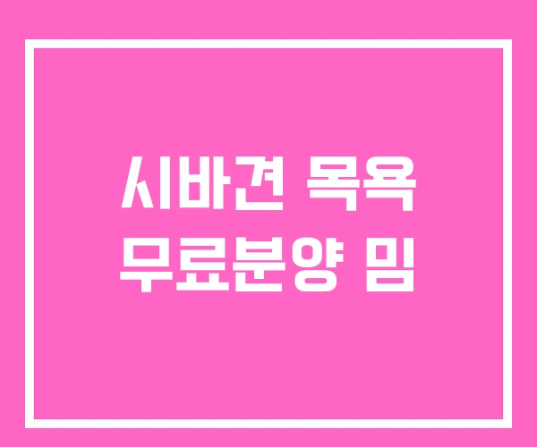 시바견 목욕 무료분양 밈 시바견 목욕 무료분양 밈