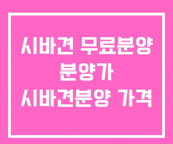 시바견 무료분양 분양가 시바견분양 가격 시바견 무료분양 분양가 시바견분양 가격