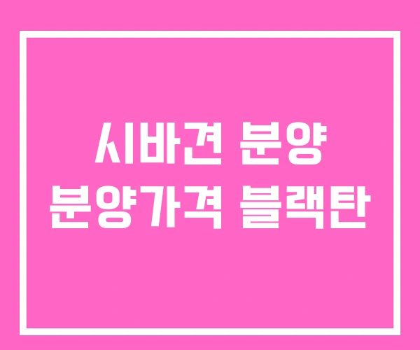 시바견 분양 분양가격 블랙탄