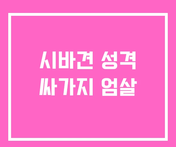 시바견 성격 싸가지 엄살
