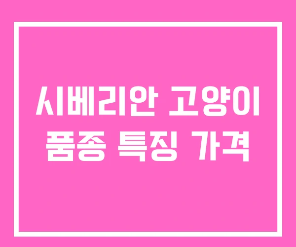 시베리안 고양이 품종 특징 가격