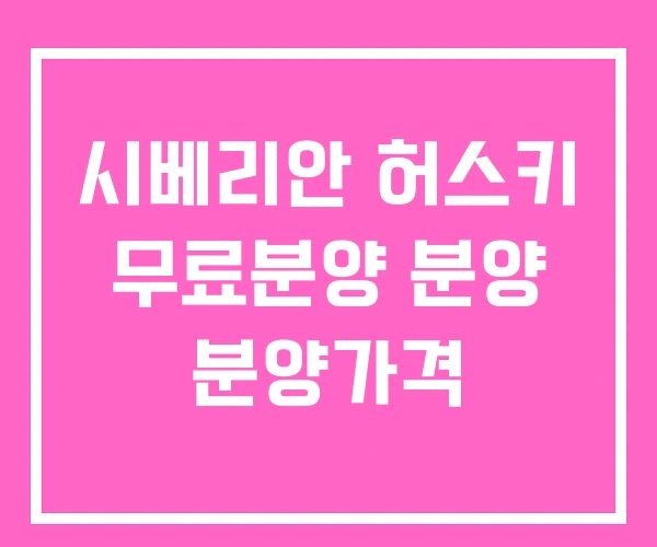 시베리안 허스키 무료분양 분양 분양가격
