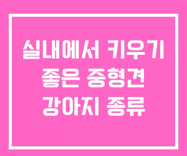 실내에서 키우기 좋은 중형견 강아지 종류