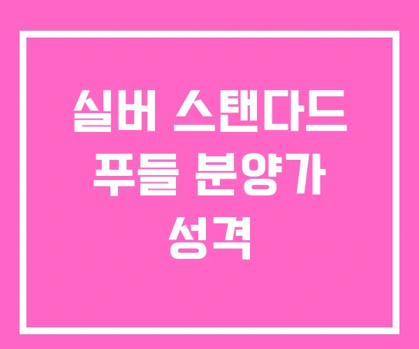 실버 스탠다드 푸들 분양가 성격
