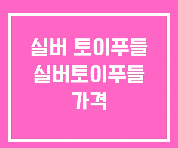 실버 토이푸들 실버토이푸들 가격 실버 토이푸들 실버토이푸들 가격