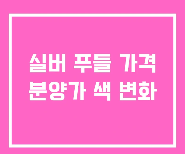실버 푸들 가격 분양가 색 변화