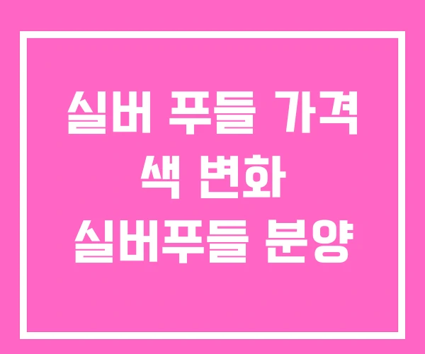 실버 푸들 가격 색 변화 실버푸들 분양