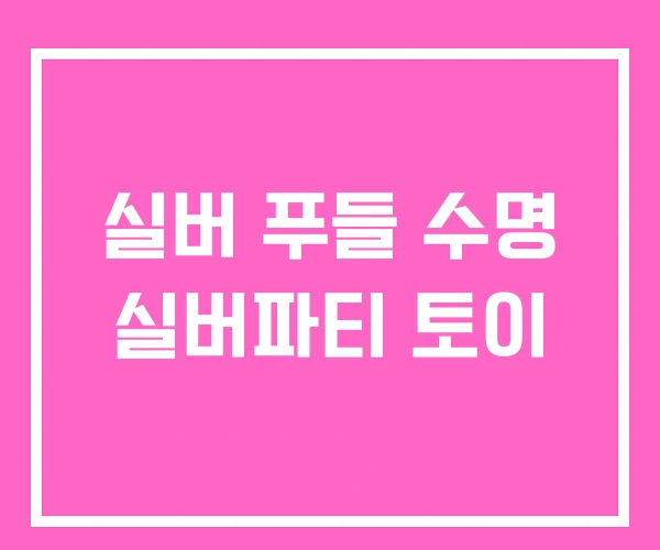실버 푸들 수명 실버파티 토이 실버 푸들 수명 실버파티 토이