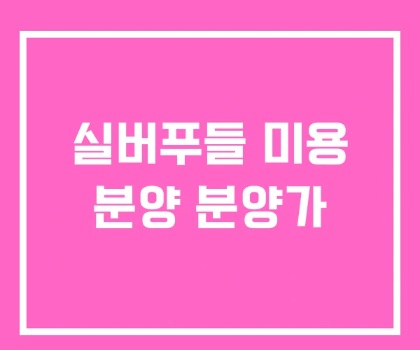 실버푸들 미용 분양 분양가