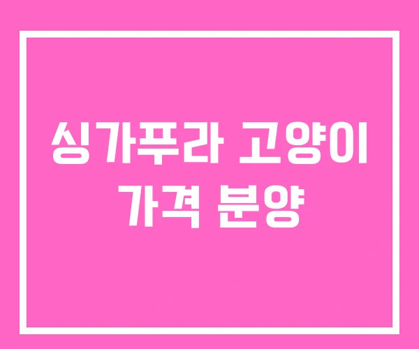 싱가푸라 고양이 가격 분양