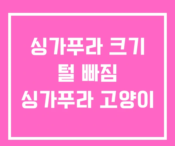 싱가푸라 크기 털 빠짐 싱가푸라 고양이