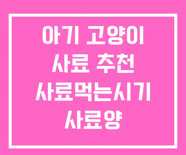 아기 고양이 사료 추천 사료먹는시기 사료양