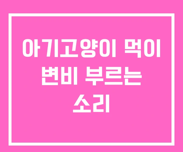 아기고양이 먹이 변비 부르는 소리