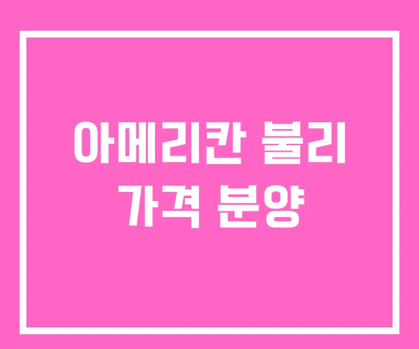 아메리칸 불리 가격 분양 아메리칸 불리 가격 분양