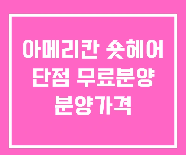 아메리칸 숏헤어 단점 무료분양 분양가격