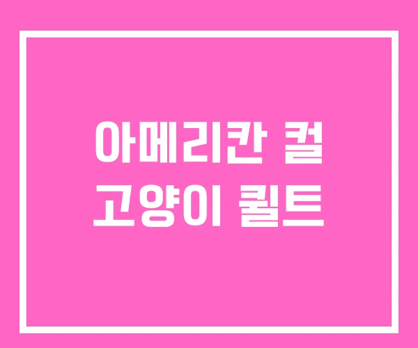 아메리칸 컬 고양이 퀼트