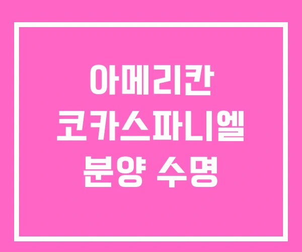 아메리칸 코카스파니엘 분양 수명 아메리칸 코카스파니엘 분양 수명