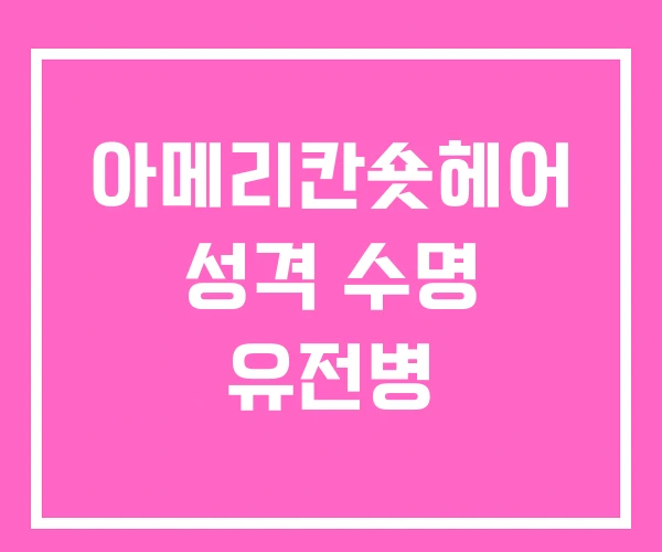 아메리칸숏헤어 성격 수명 유전병 아메리칸숏헤어 성격 수명 유전병