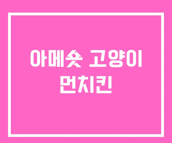 아메숏 고양이 먼치킨 아메숏 고양이 먼치킨