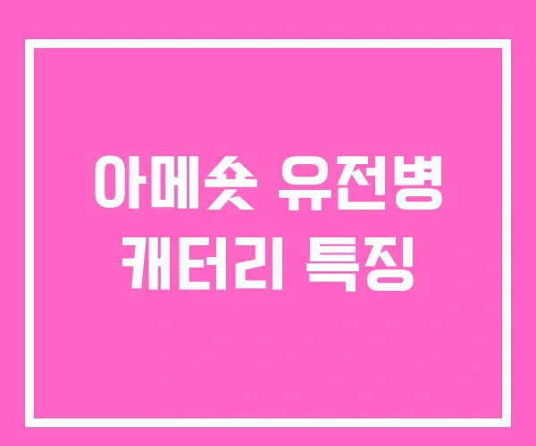 아메숏 유전병 캐터리 특징