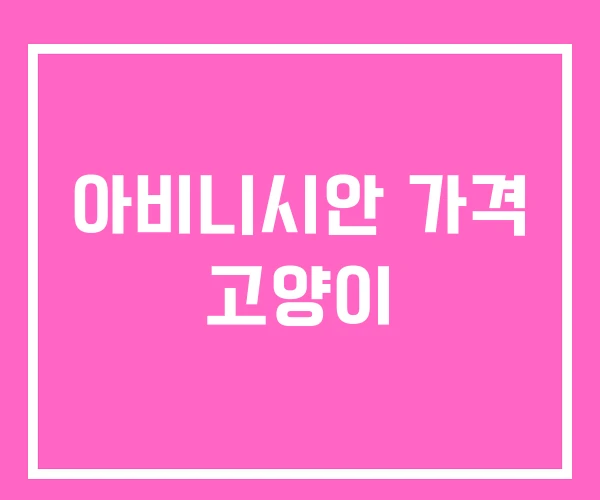 아비니시안 가격 고양이 아비니시안 가격 고양이