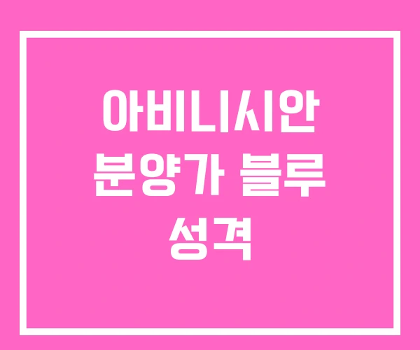아비니시안 분양가 블루 성격 아비니시안 분양가 블루 성격