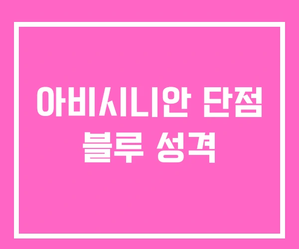 아비시니안 단점 블루 성격