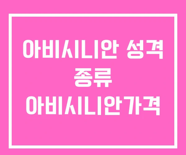 아비시니안 성격 종류 아비시니안가격 아비시니안 성격 종류 아비시니안가격