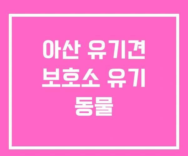 아산 유기견 보호소 유기 동물 아산 유기견 보호소 유기 동물