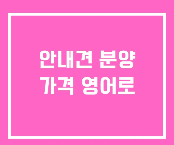 안내견 분양 가격 영어로