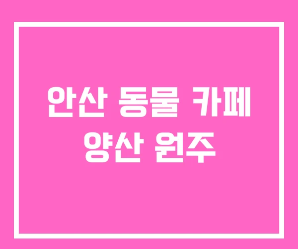 안산 동물 카페 양산 원주