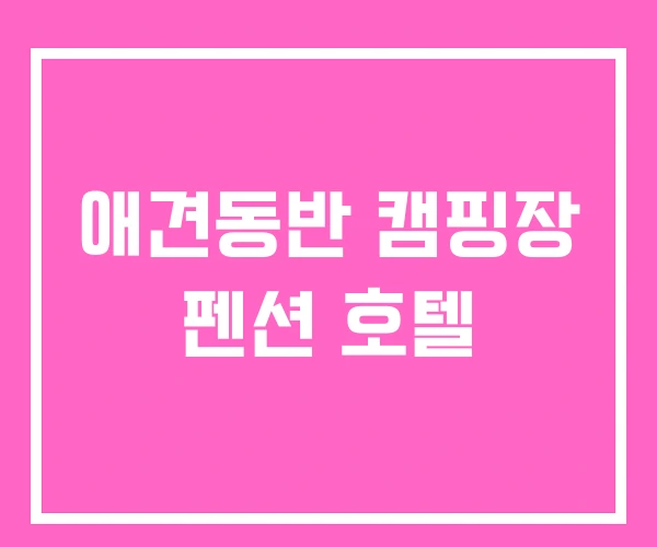 애견동반 캠핑장 펜션 호텔