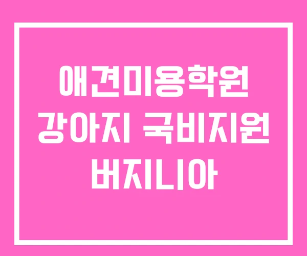 애견미용학원 강아지 국비지원 버지니아 애견미용학원 강아지 국비지원 버지니아