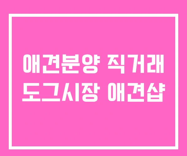 애견분양 직거래 도그시장 애견샵