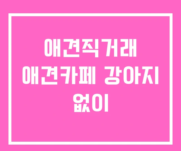 애견직거래 애견카페 강아지 없이