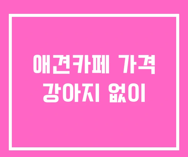 애견카페 가격 강아지 없이