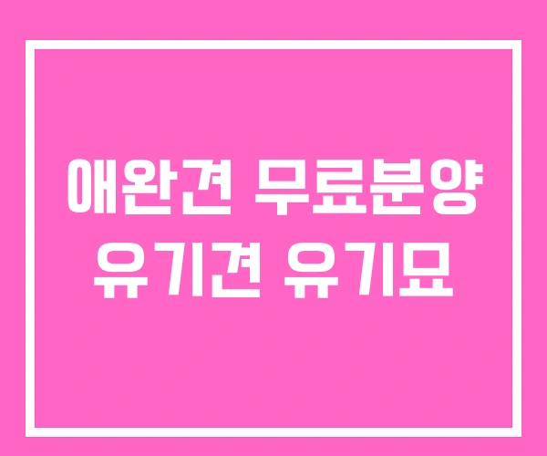 애완견 무료분양 유기견 유기묘