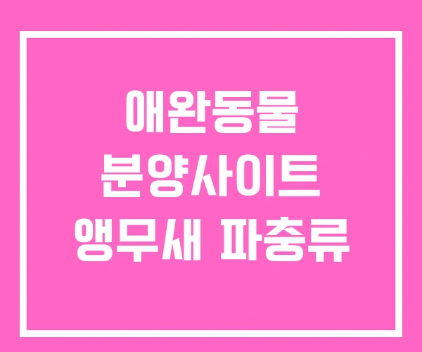 애완동물 분양사이트 앵무새 파충류