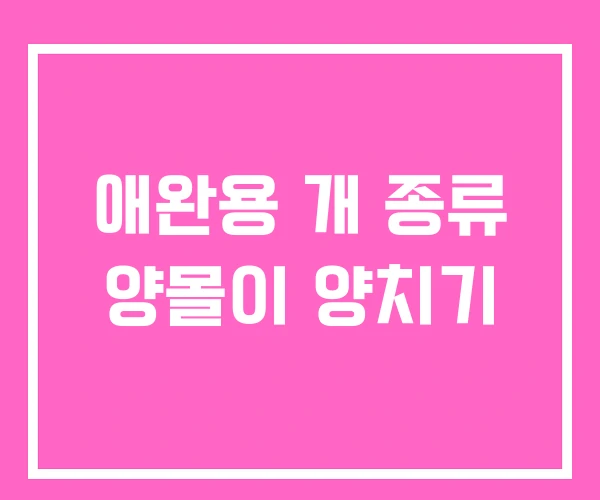 애완용 개 종류 양몰이 양치기